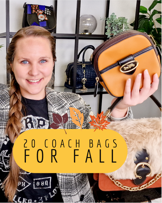 20 Coach Bags for Fall