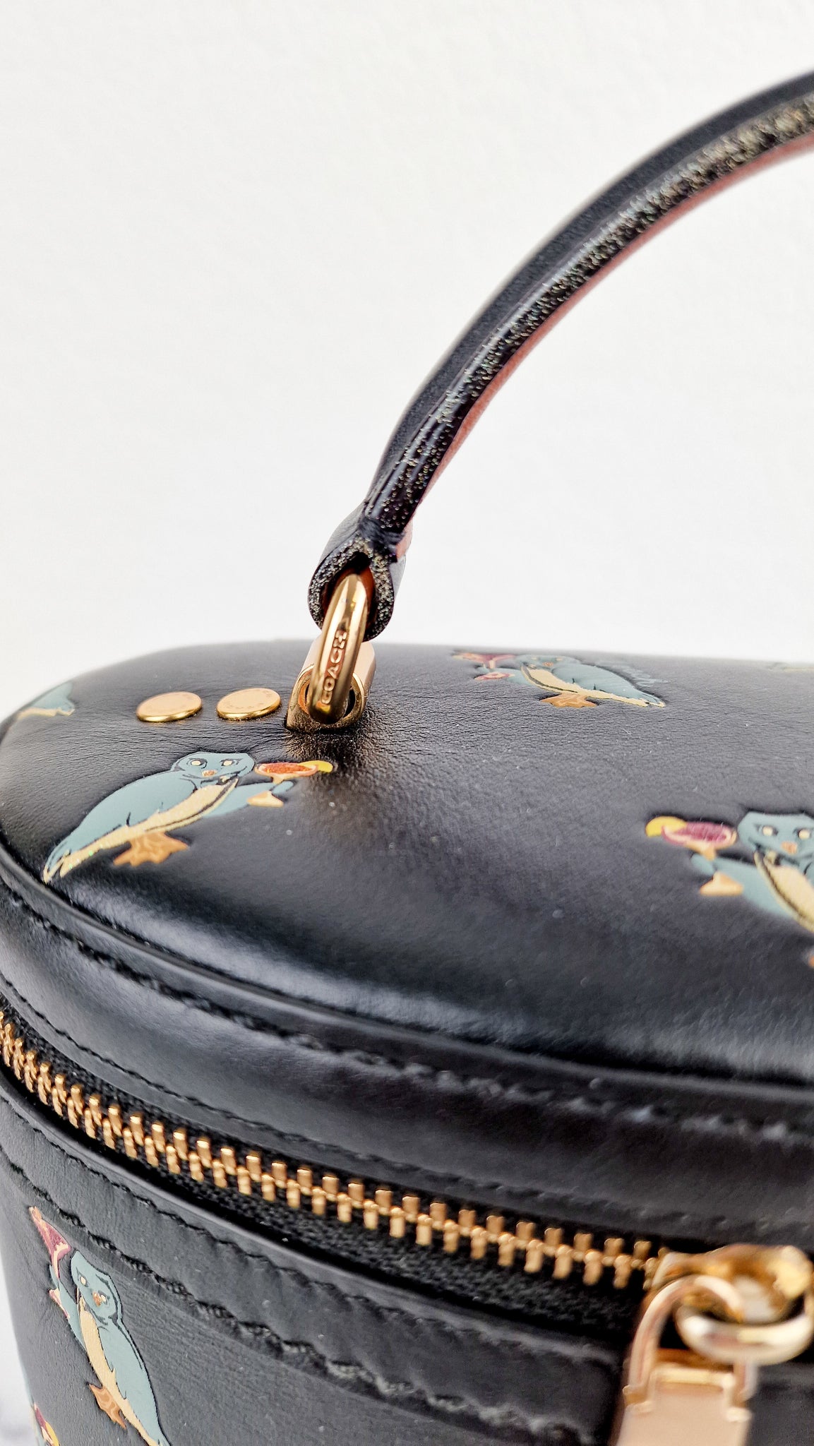 Coach trailbag Clearance